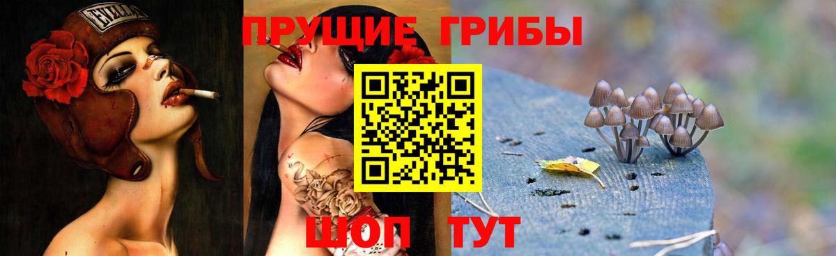 Псилоцибиновые грибы Cubensis Химки